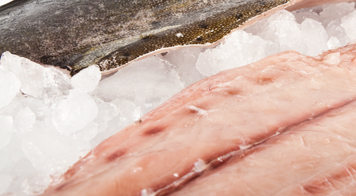 Ikan terbaik untuk ceviche Peru